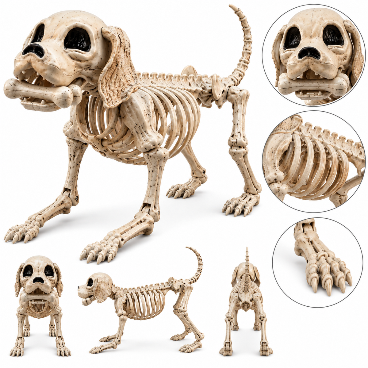 Skeletal Dog Halloween Decoration